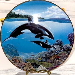 Orca Ballet “Our Cherished Seas”